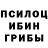 Псилоцибиновые грибы MAGIC MUSHROOMS noake _pubgm