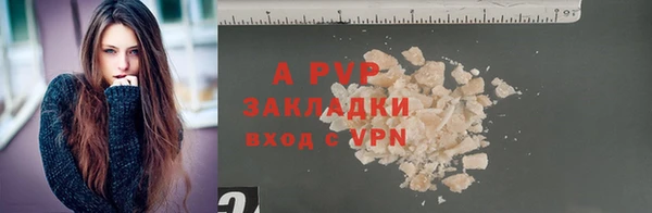 spice Корсаков
