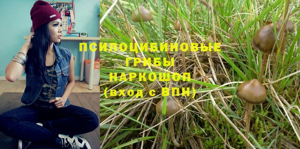 альфа пвп Коряжма