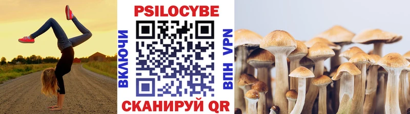 Купить закладки  Лахденпохья  Псилоцибиновые грибы прущие грибы 